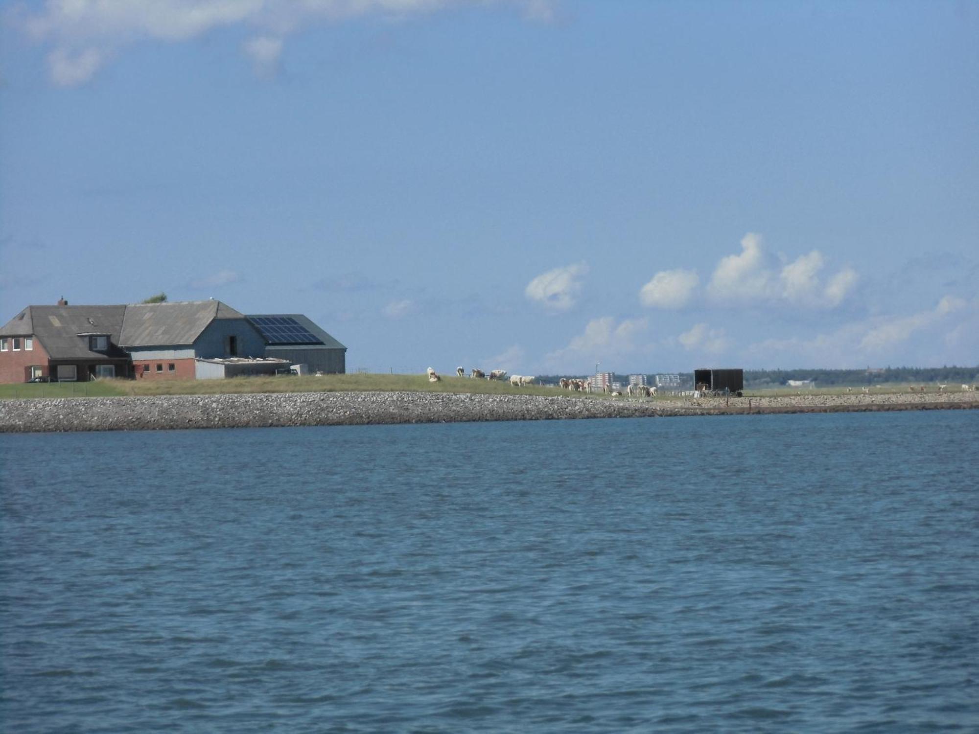 Friesenhaus Am Meer Dagebuell Exterior photo